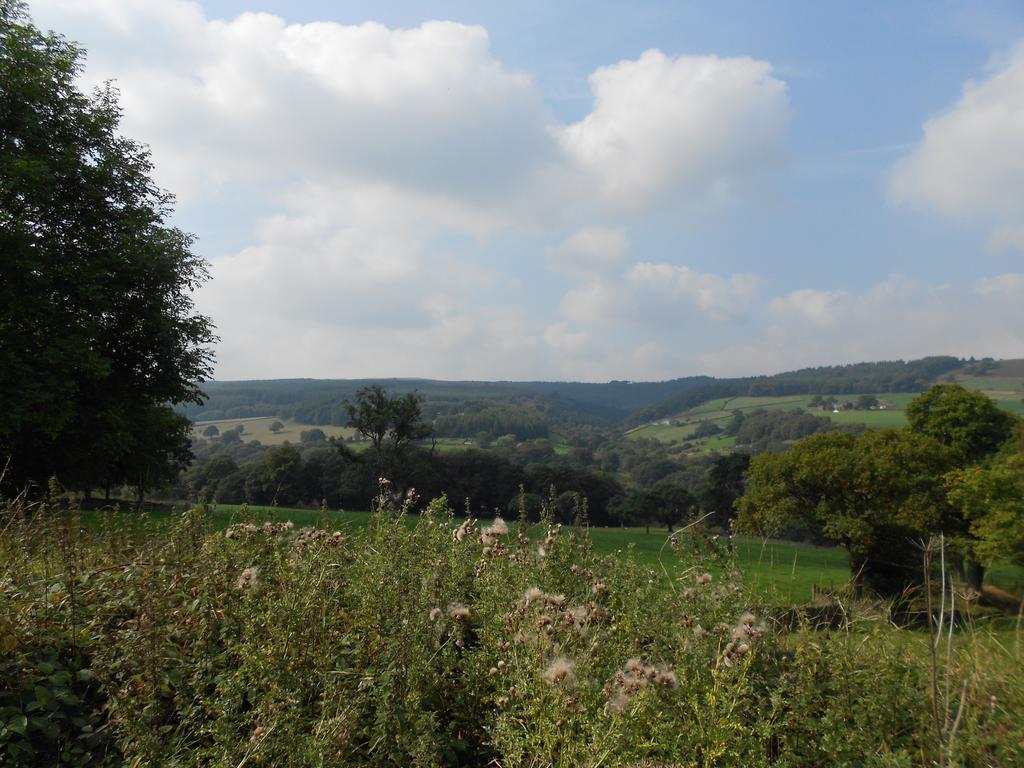 The Shady Oak B&B Whaley Bridge エクステリア 写真